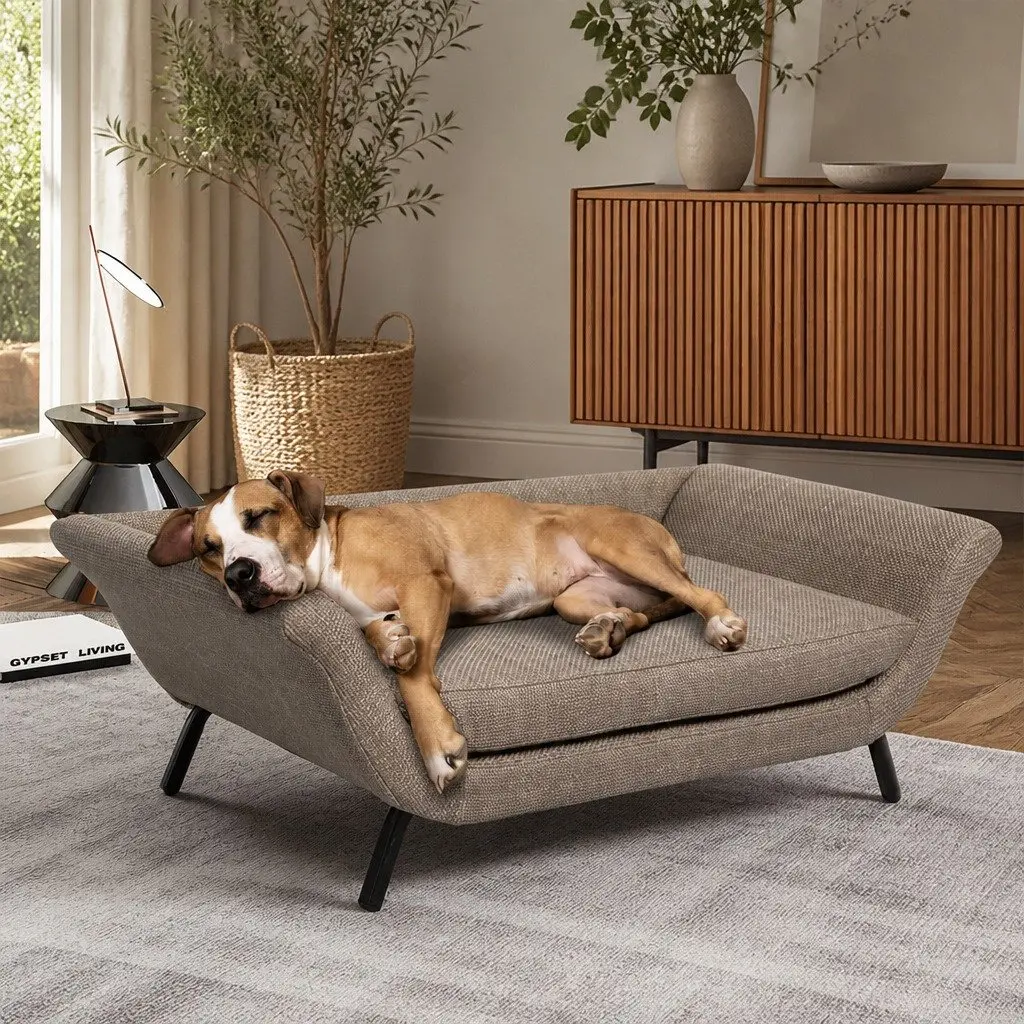 Pet Sofa Bed Raised Elevated Soft Foam Dog Cat Sleeping Lounger