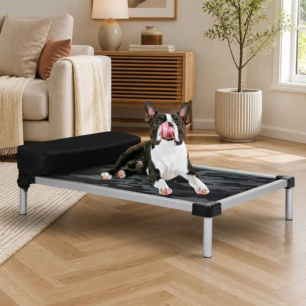 Medium Raised Pet Trampoline Bed