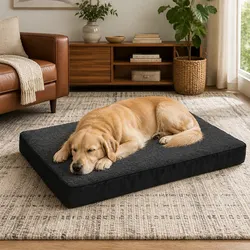 Orthopedic Dog Bed XXL - Specifications and Features
