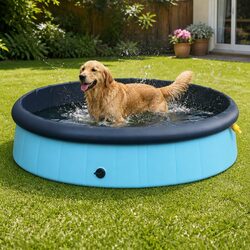 Folding Pet Pool Specifications and Features