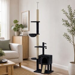 Dimensions and Features of the Cat Tree Scratching Post