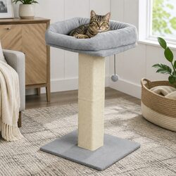 Cat Scratching Post Specs: 62cm Perch, Sisal, Plush Velvet