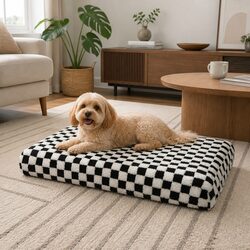 Orthopedic Dog Bed - Dimensions 60cm x 50cm x 11cm