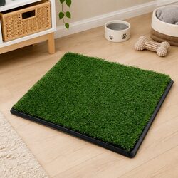 Dog Potty Tray Specifications: 63.5cm x 50.5cm, Green