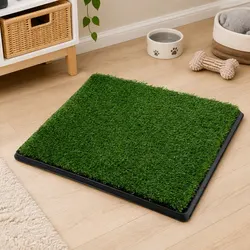 Dog Potty Tray Specifications: 63.5cm x 50.5cm, Green