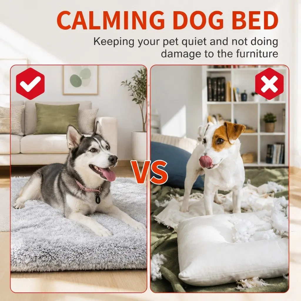 Pet Bed for Dogs Indoor Outdoor Use L Size