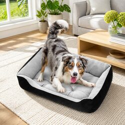 PawFriends Walled Pet Bed Specifications and Features