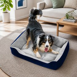 PawFriends Walled Pet Bed Specifications and Features