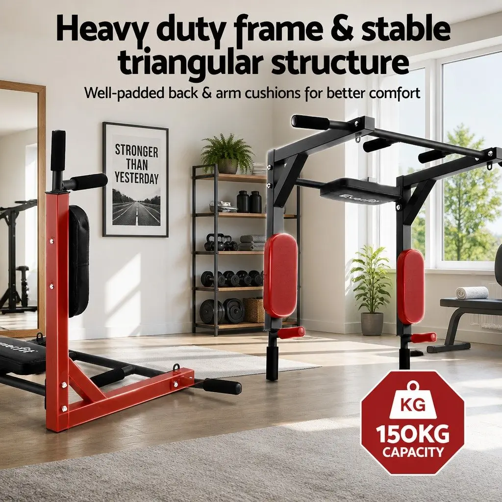 Multi Gym Pull Up Bar Dip Station