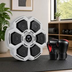 Specifications of Smart Music Punching Box & Gloves