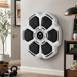 Electronic Punching Box: 40cm Diameter, Bluetooth, Grey