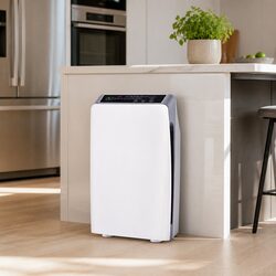 Air Purifier Specifications: HEPA Filter, Dimensions, and Power
