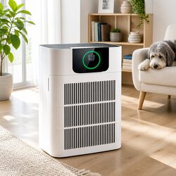 Pet Air Purifier Dimensions: 31cm x 18cm x 41cm