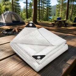 4m x 7m Clear Poly Tarp: Heavy Duty Outdoor Cover