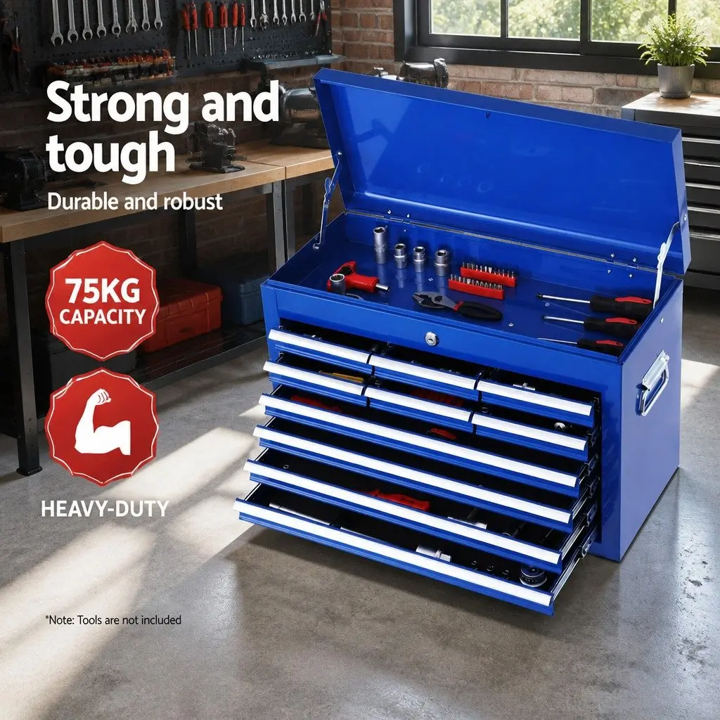 10 Drawer Blue Tool Box Cabinet