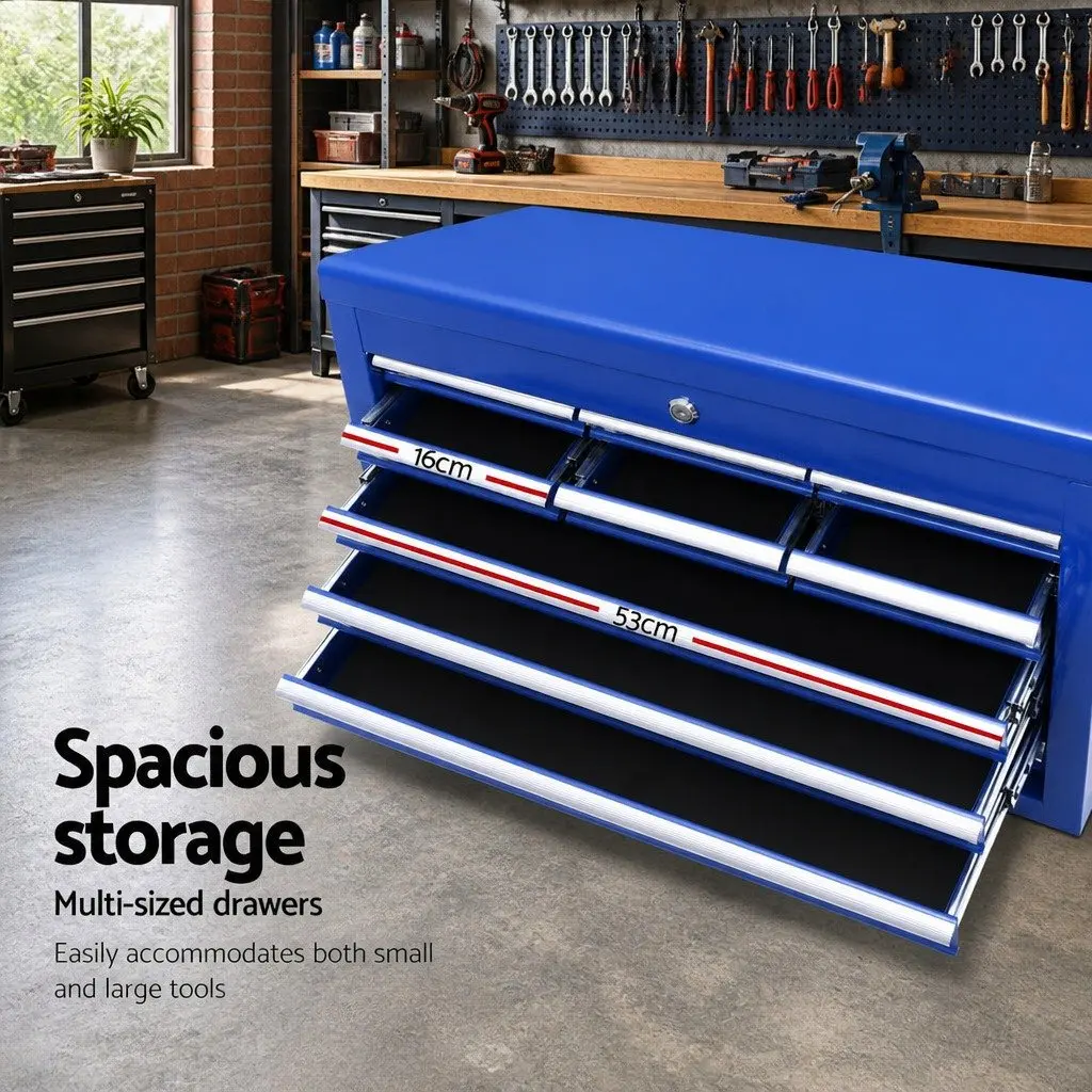 10 Drawer Blue Tool Box Cabinet