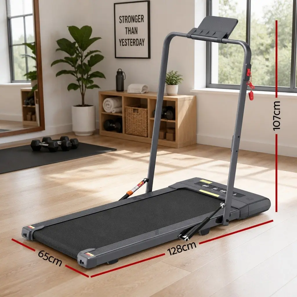 2 in 1 Electric Walking Pad Under Desk Treadmill