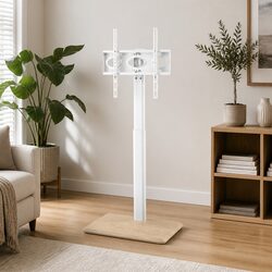 Specifications of a Floor TV Stand for 24-55" Displays