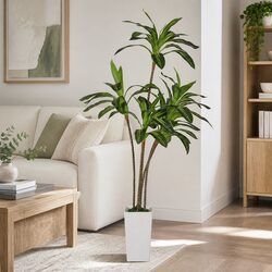 Artificial Dracaena Tree 182.5cm Tall Fake Indoor Plant Flexible Branches Silk
