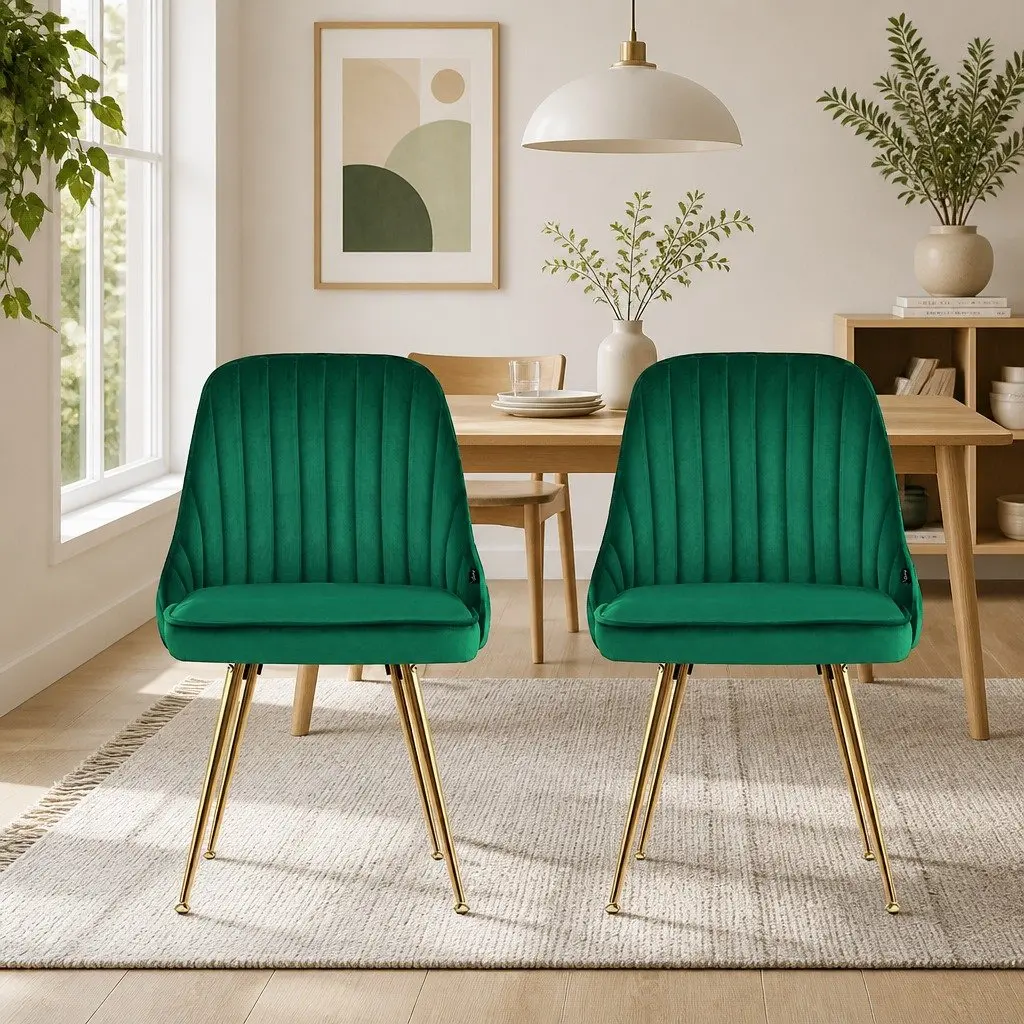 Velvet Dining Chairs Set of 2