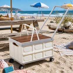Specifications of the 54L Collapsible Storage Box