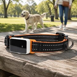 Medium-Sized Pet Collar Featuring Tracker Attachment Base