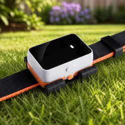 GPS Tracker for Pets: Specs and Features Overview