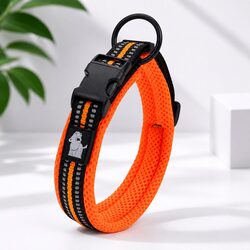 Specifications for Heavy Duty Orange 2XL Dog Collar