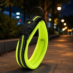 Reflective Dog Collar with Locking Clip - Specs Inside