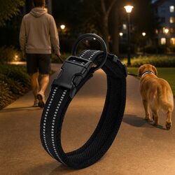 Specifications of Heavy Duty Reflective Dog Collar XS Black