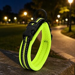 Specifications of Heavy Duty XL Dog Collar with Safety Clip