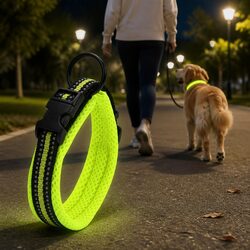 3XL Heavy Duty Dog Collar with Stainless Steel O Ring