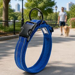 Specifications of Heavy Duty Reflective Dog Collar XS Blue