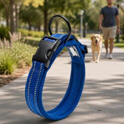 Heavy Duty Dog Collar with Reflective Safety Lock Buckle Stainless Steel O Ring