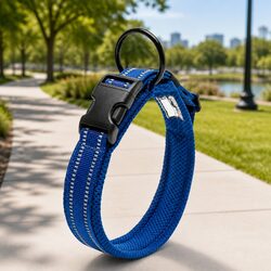 2XL Heavy Duty Dog Collar, Blue with Reflectors and Safety Buckle