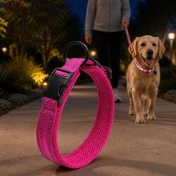 Specifications of Heavy Duty Reflective Dog Collar