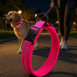 Specifications of Reflective Heavy Duty Dog Collar 2XL Pink