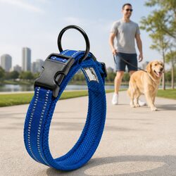 Heavy Duty Reflective Dog Collar XS Blue Safety Lock Stainless Steel O Ring