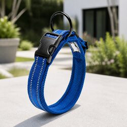 Specifications of Heavy Duty Dog Collar