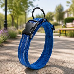 2XL Heavy Duty Reflective Dog Collar: Specifications and Features