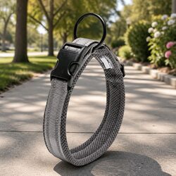 Heavy Duty Reflective Dog Collar Specs: 2XS Grey with Safety Lock