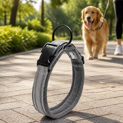 Heavy Duty Grey Dog Collar with Stainless Steel O Ring