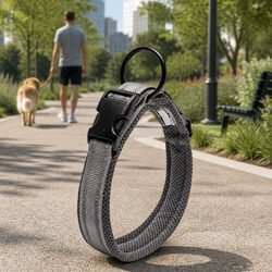 Specifications for Heavy Duty Reflective Dog Collar 2XL