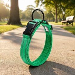 Heavy Duty Reflective Dog Collar with Safety Lock Clip Buckle XS Green Pet