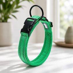 Reflective Dog Collar - Small, Green, Heavy Duty
