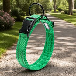 Specifications for Heavy Duty XL Dog Collar with Reflective Safety