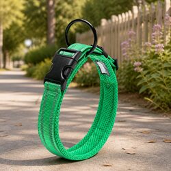 3XL Heavy Duty Dog Collar with Stainless Steel O Ring - Green