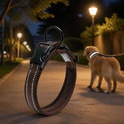 Heavy Duty Reflective Dog Collar with Safety Lock Clip Buckle Night Visibility