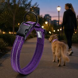 XS Purple Reflective Dog Collar Specifications and Features