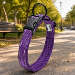 Specifications of the Reflective Heavy Duty Dog Collar